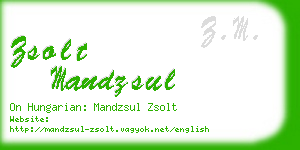 zsolt mandzsul business card